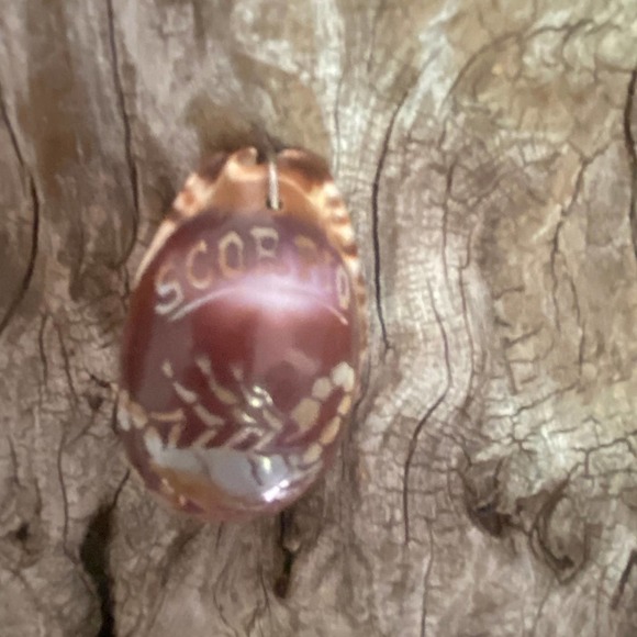 Scorpio Cowrie Shell Necklace Pendant Vintage 70's Etched Beach Souvenir Zodiac - Picture 2 of 7